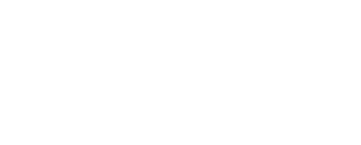 PAYTIENT_Logo_Main_Screen_White copy